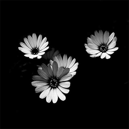 دانلود آهنگ خداحافظ عباس بابایی